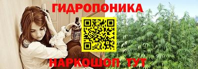 ПСИЛОЦИБИНОВЫЕ ГРИБЫ Кандалакша